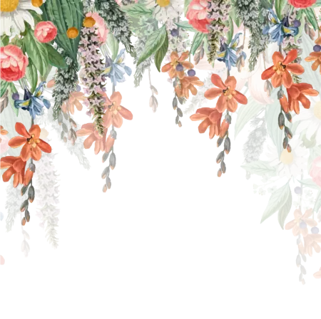 frame