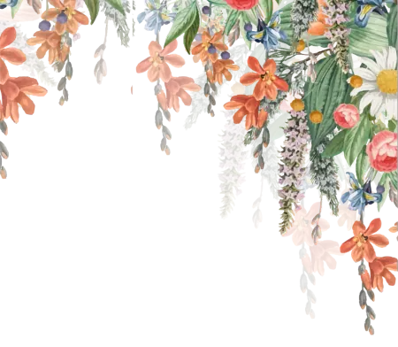 frame
